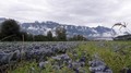 20200817_120600.jpg